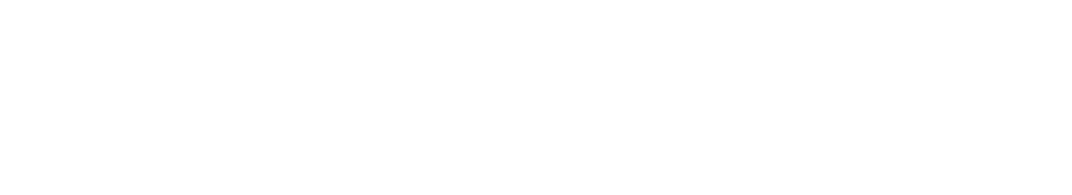 light logo