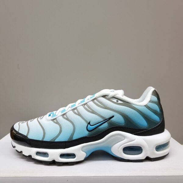 Nike Air Max Plus Tn Blanc et Bleu - Chaussures